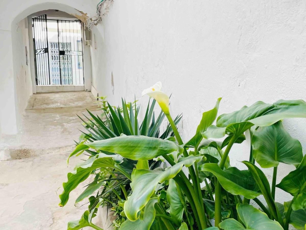 Apartamento Alazul Campillo كونيل ذي لا فرونتيرا المظهر الخارجي الصورة